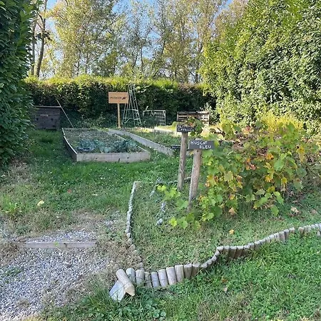 Mobil Ile Du Rhin Tohapi-alsace アパート