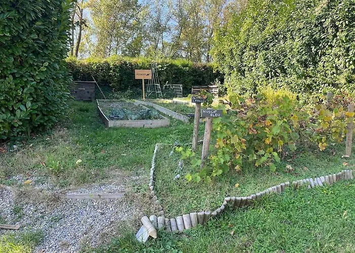 Mobil Ile Du Rhin Tohapi-alsace 아파트
