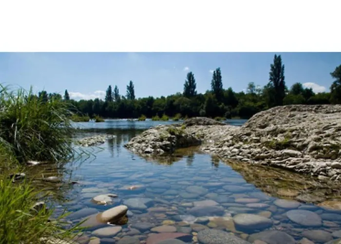 Mobil Ile Du Rhin Tohapi-alsace * ビースハイム